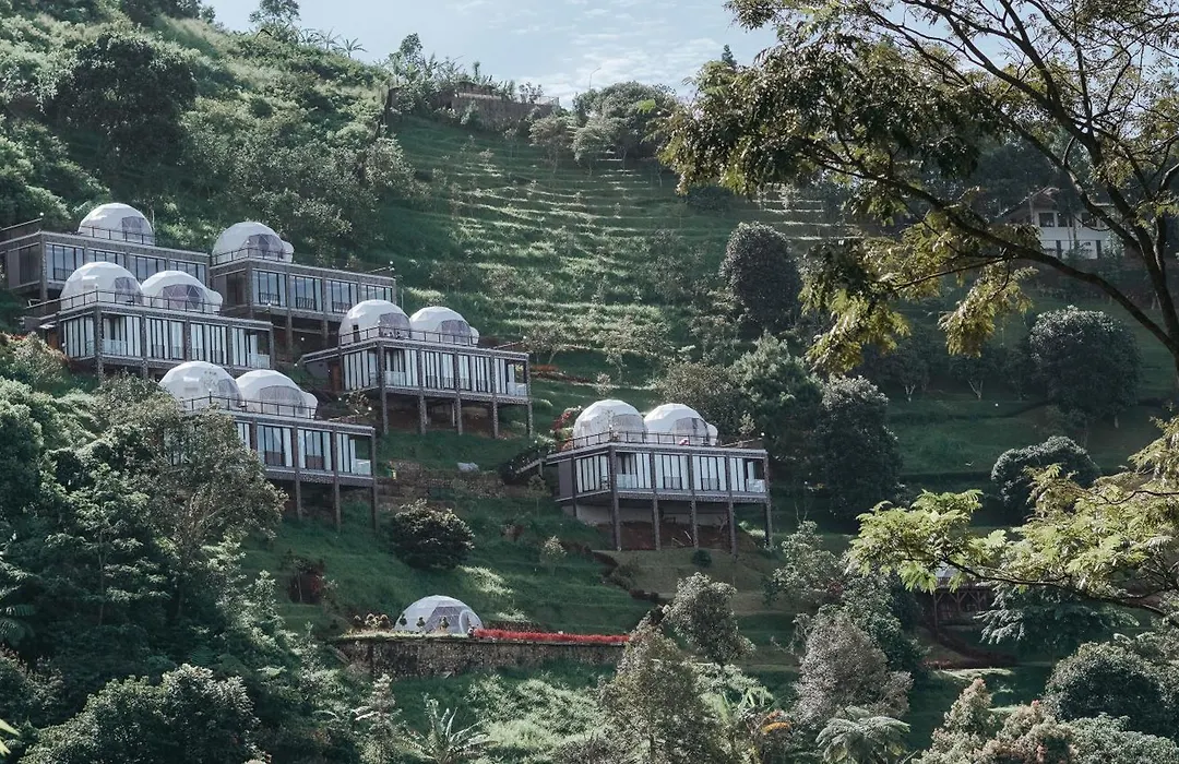 Damar Langit Resort-1